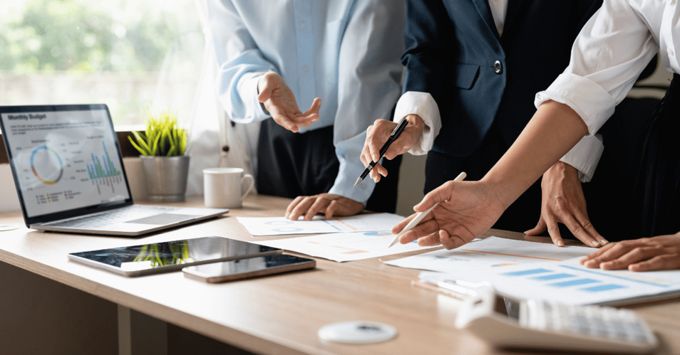 Blue Value Advisors Process